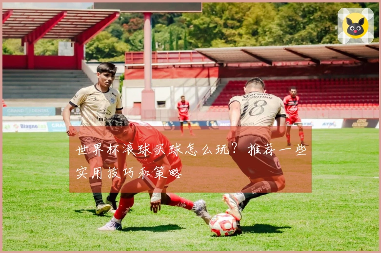 世界杯滚球买球怎么玩？推荐一些实用技巧和策略