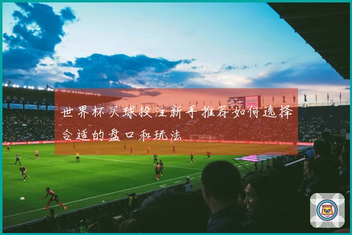 世界杯买球投注新手推荐如何选择合适的盘口和玩法
