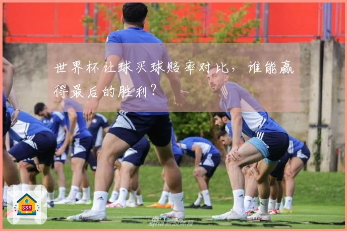 世界杯让球买球赔率对比，谁能赢得最后的胜利？