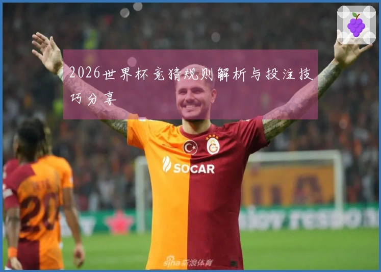 2026世界杯竞猜规则解析与投注技巧分享