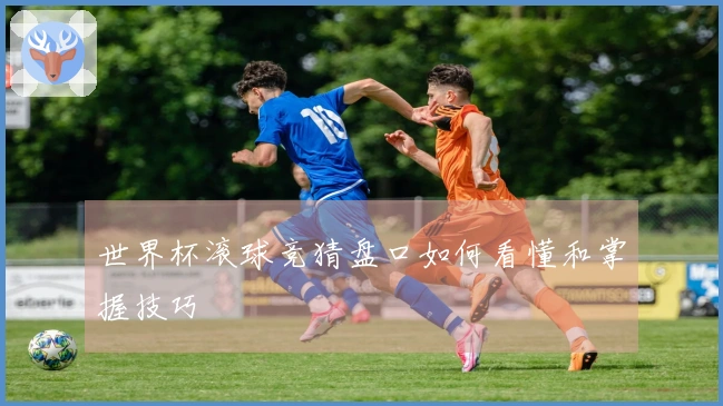 世界杯滚球竞猜盘口如何看懂和掌握技巧
